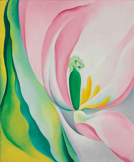 Pink Tulip painting by Georgia OKeefe at Baltimore Museum of Art