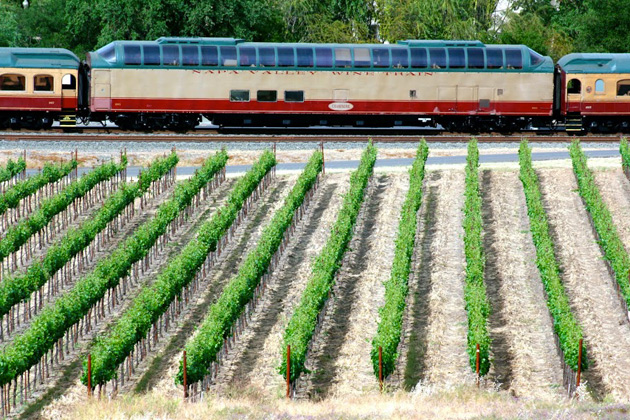 Napa Valley Wine Train vineyards
