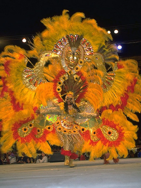 Peacock during Carnival