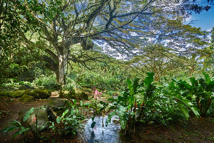 Martinique Eco-Travel
