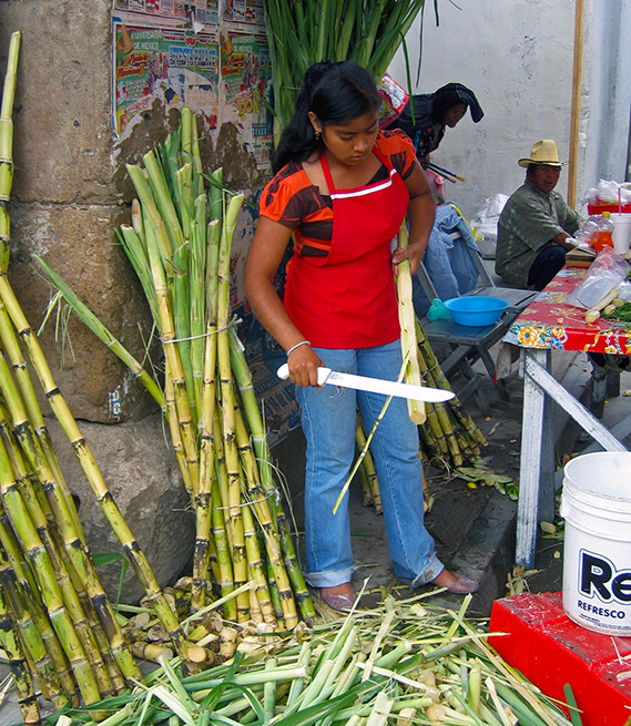 Shaving sugarcane, Oaxaca