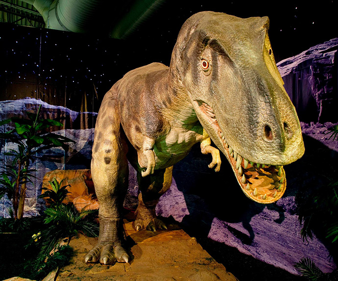 T-Rex exhibit at South Carolina State Museum, Columbia