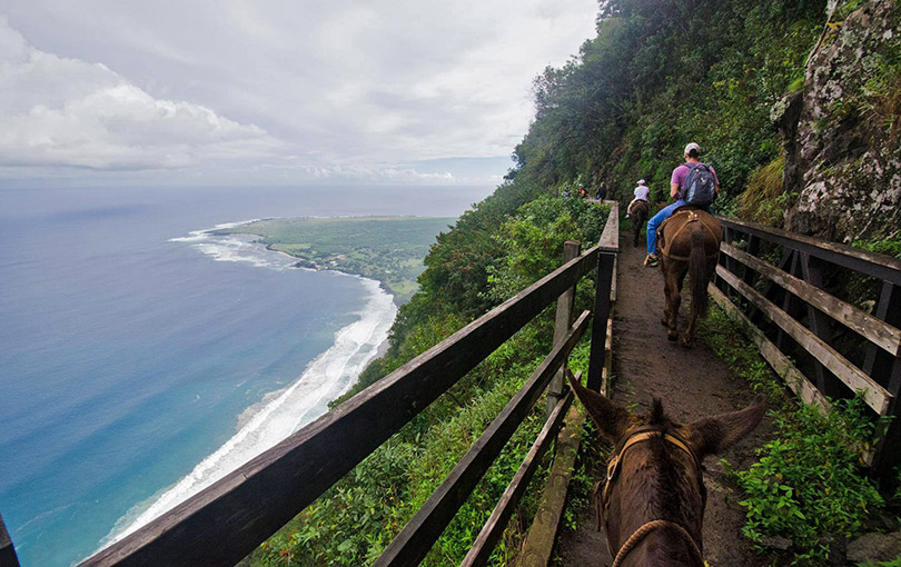 Kalaupapa National Park mule ride, Molokai; credit Hawaii Tourism Authority