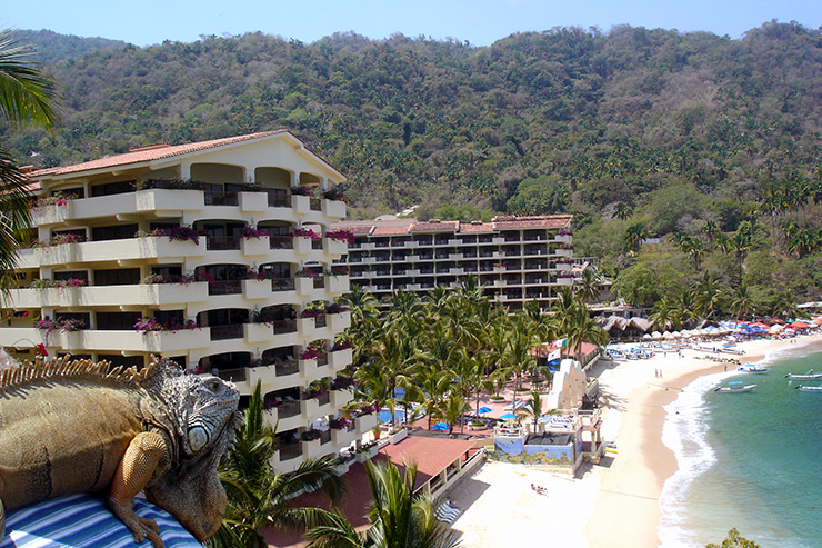 Iguana on a resort perch overlooking Mismaloya Beach; Puerto Vallarta