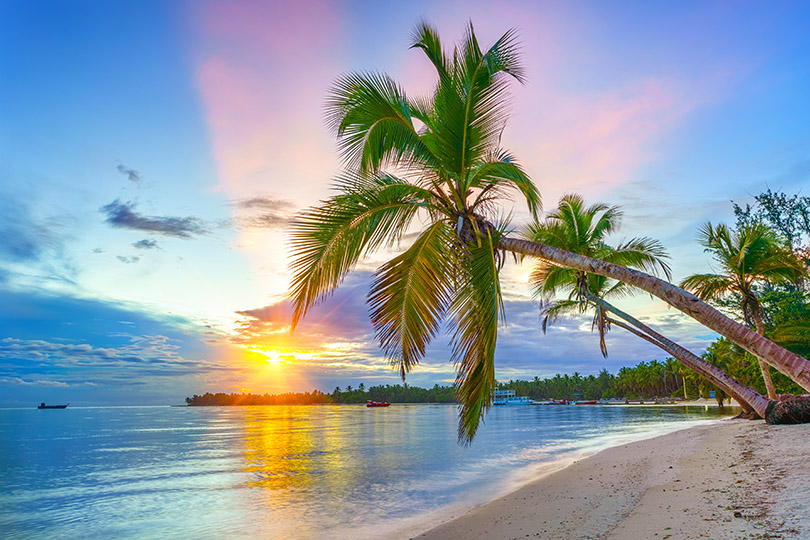 Sunrise over tropical beach and palm trees in Punta Cana